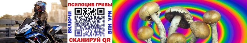Галлюциногенные грибы прущие грибы Гусь-Хрустальный